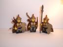 elven_soldiers_3rd_age.jpg