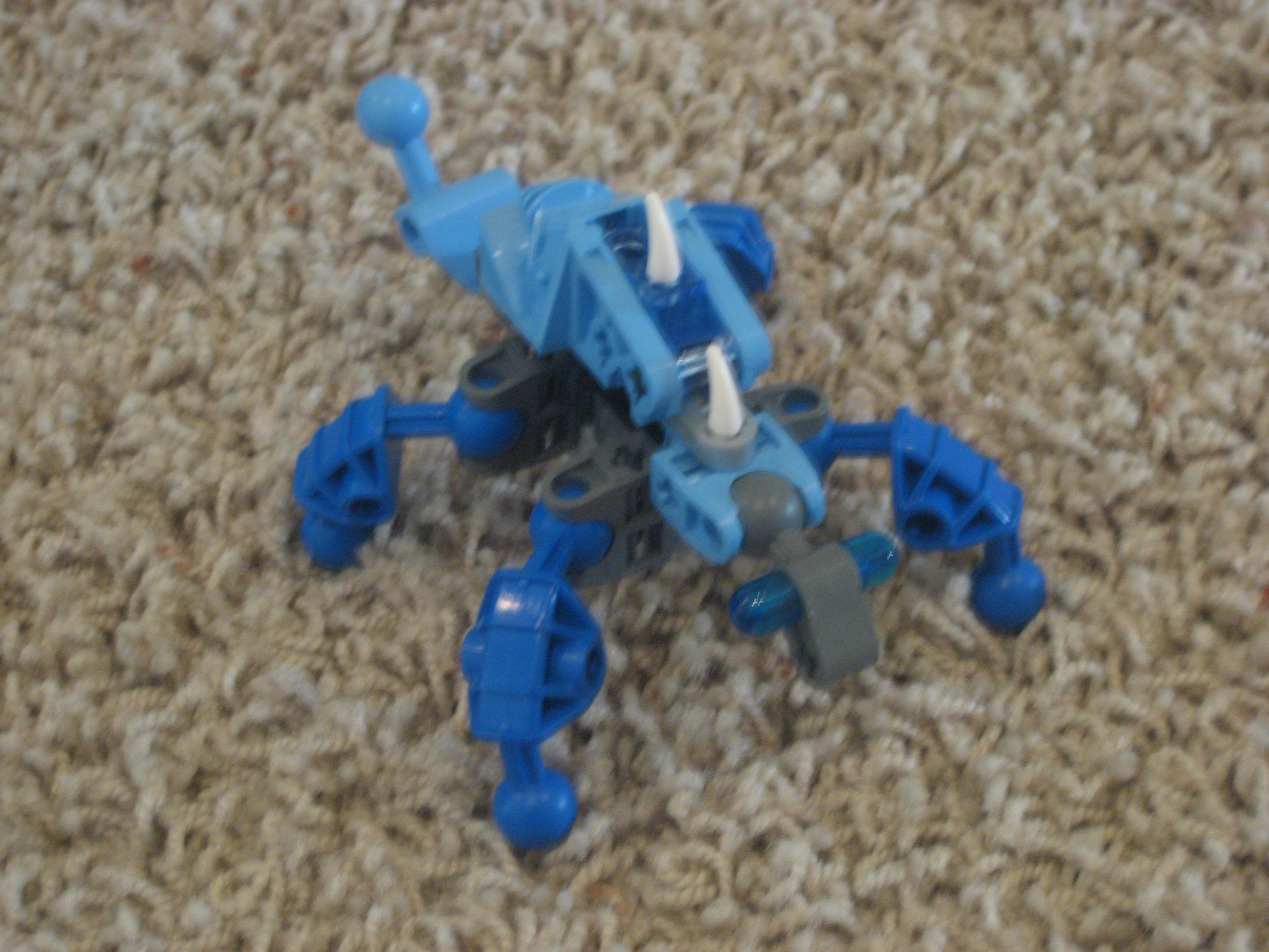 1.jpg