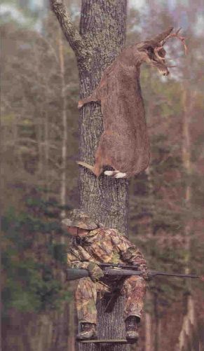 deerhunt.jpg