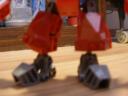 fire-ant-2.jpg