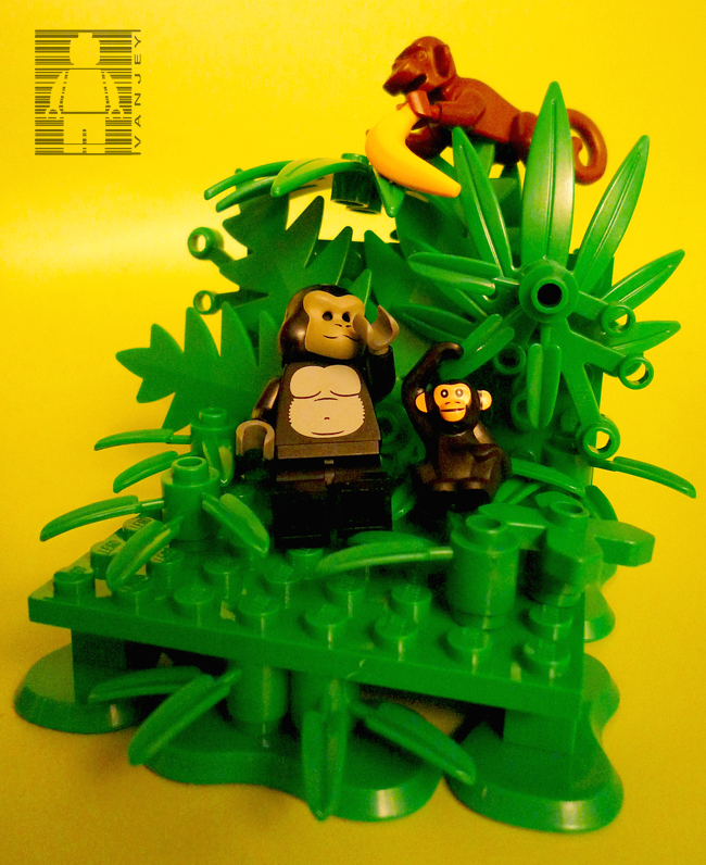 monkey-1.jpg