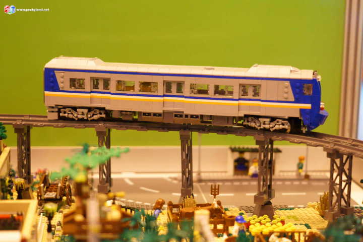 816.jpg