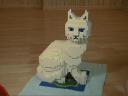 White-Cat