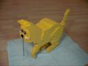 Yellow-Cat