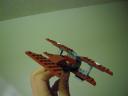 dscn6497.jpg