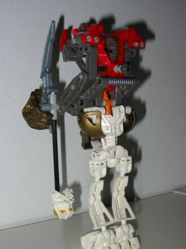 rhino_toa_back.jpg