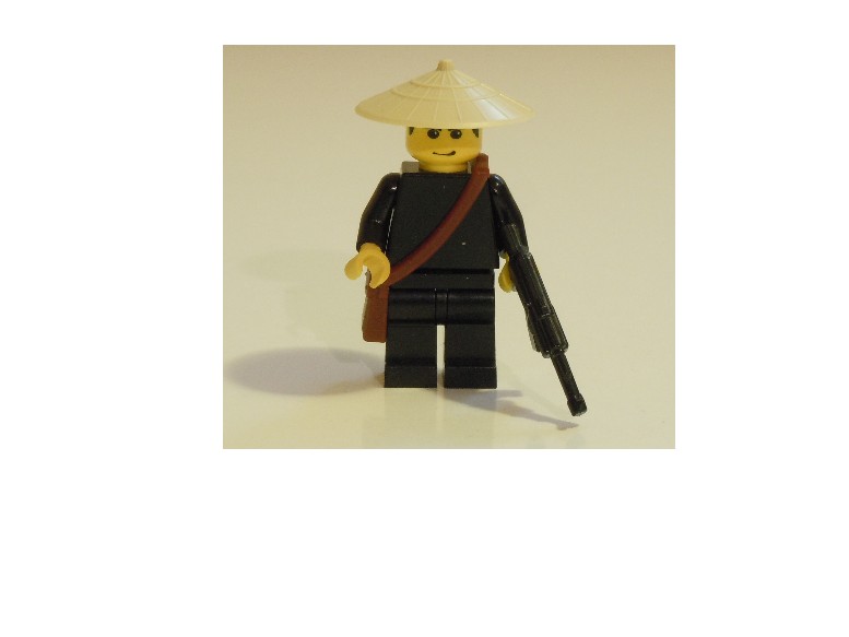 10_vietcong.jpg