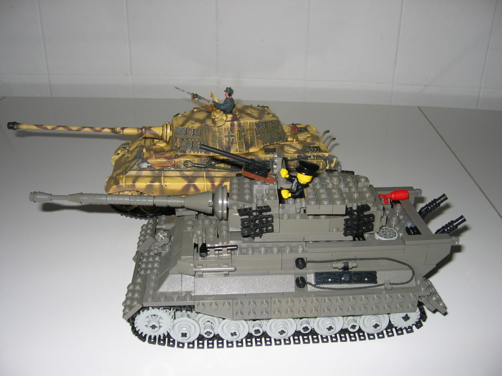 05_tigerii.jpg