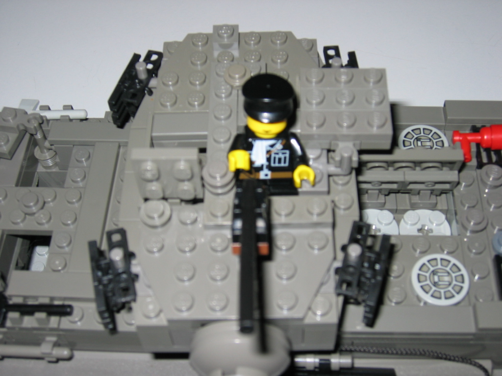 06_tigerii.jpg