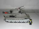 01_tigerii.jpg