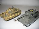 03_tigerii.jpg
