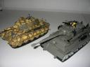 04_tigerii.jpg