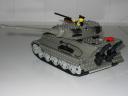 09_tigerii.jpg