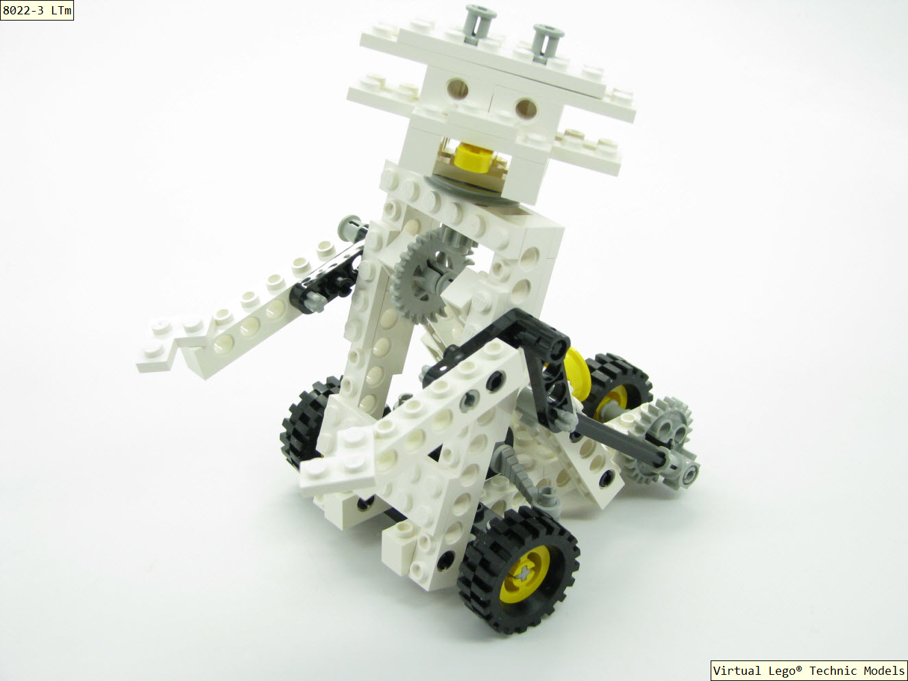 8022-3-9-ltm-r.jpg