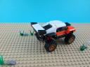 60146_5.jpg