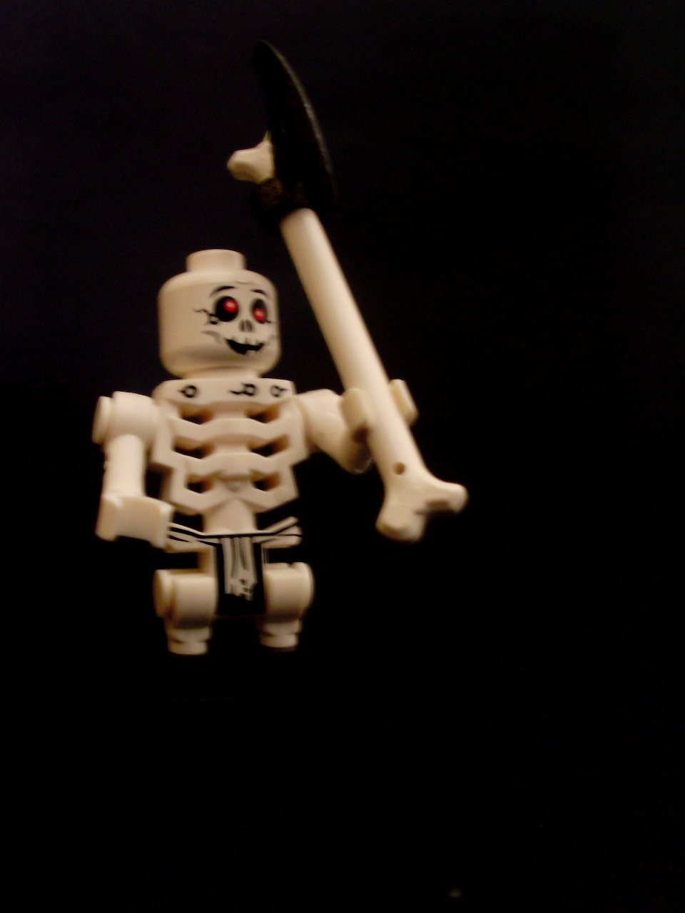 pa080088.jpg