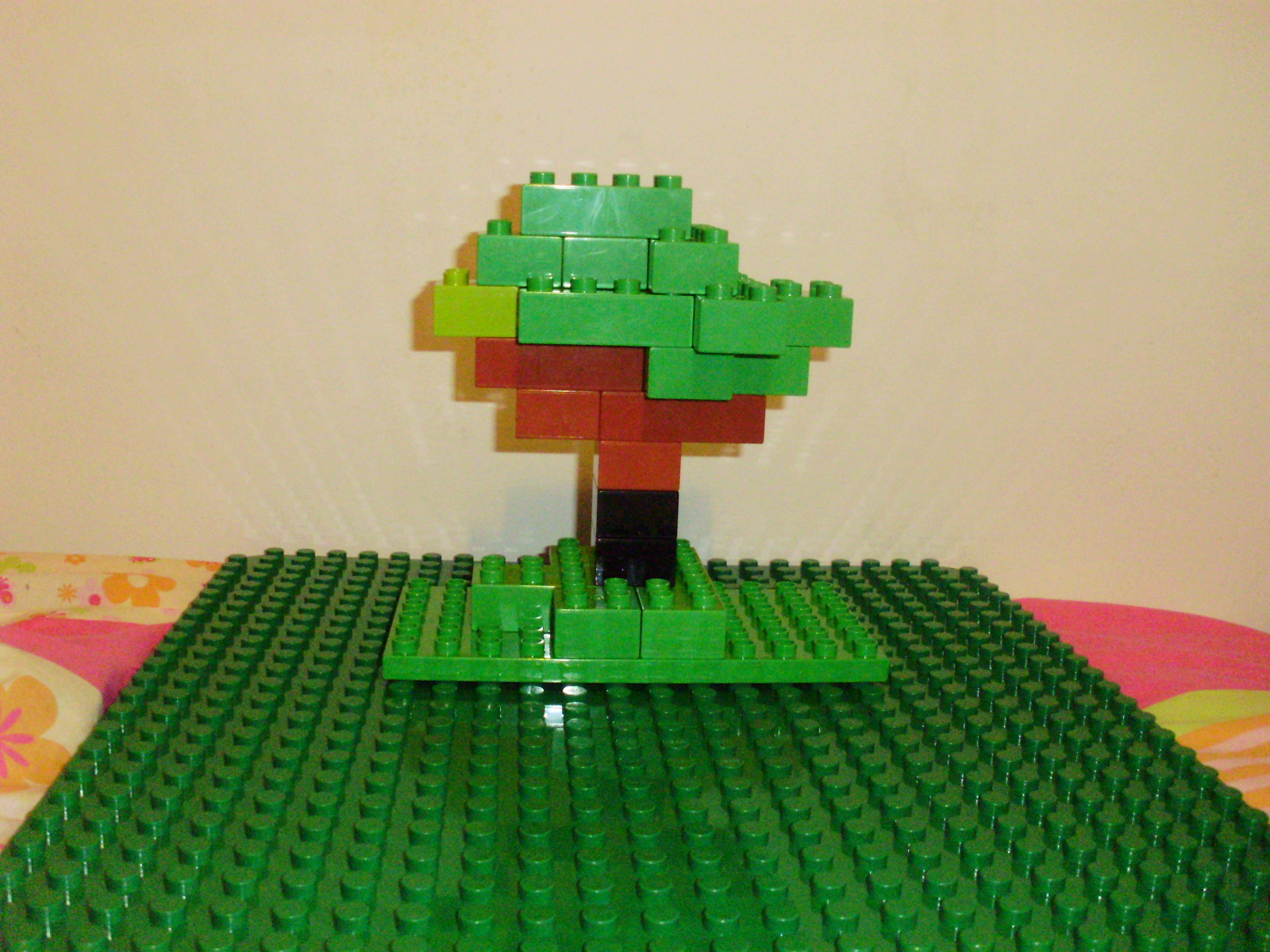 pc270169.jpg