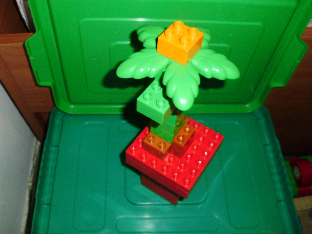 p1050080.jpg