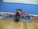 sany0020.jpg