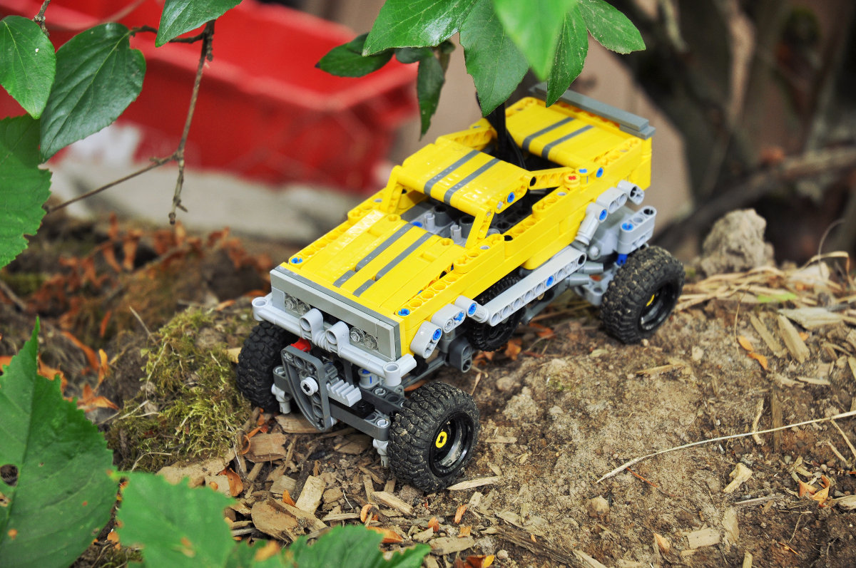 yellow02.jpg