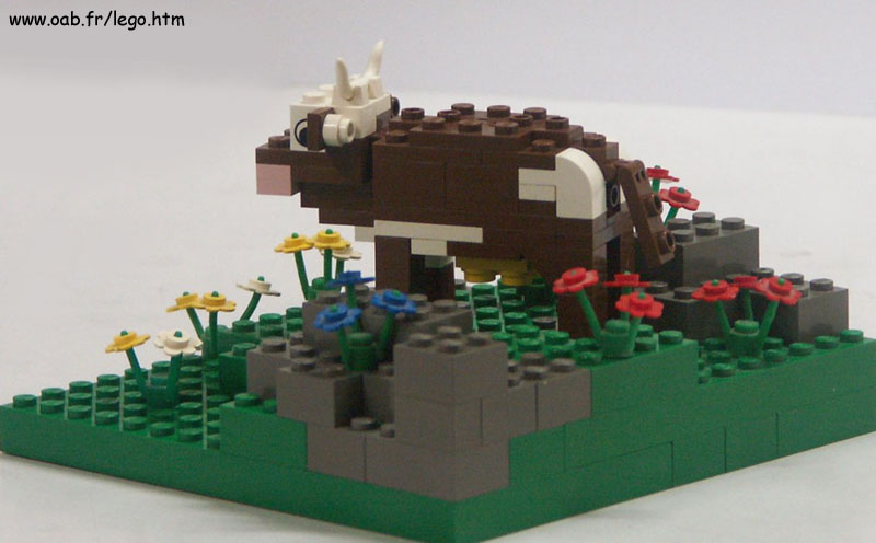 vache_abondance.jpg