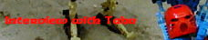 tahu-interview.png
