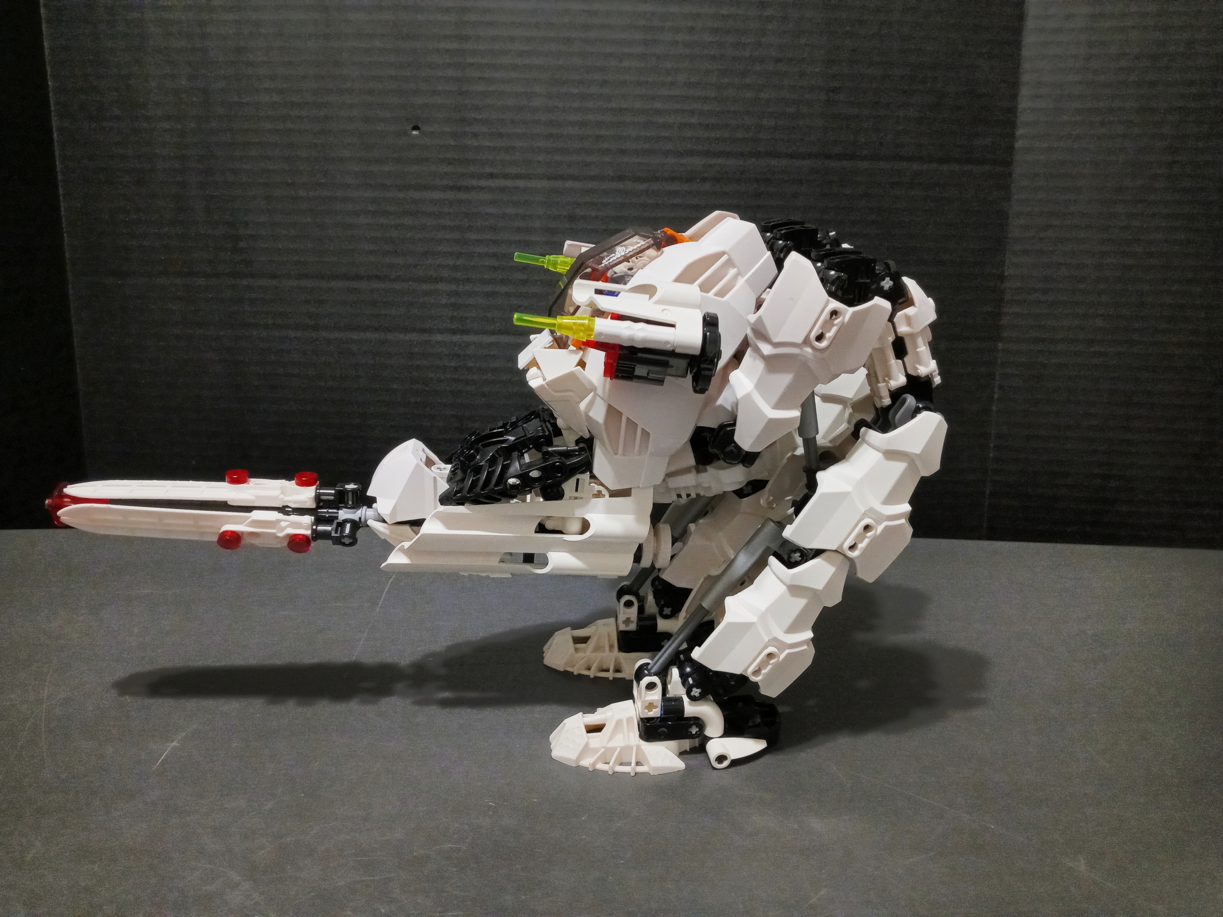 ak-paw-1.jpg