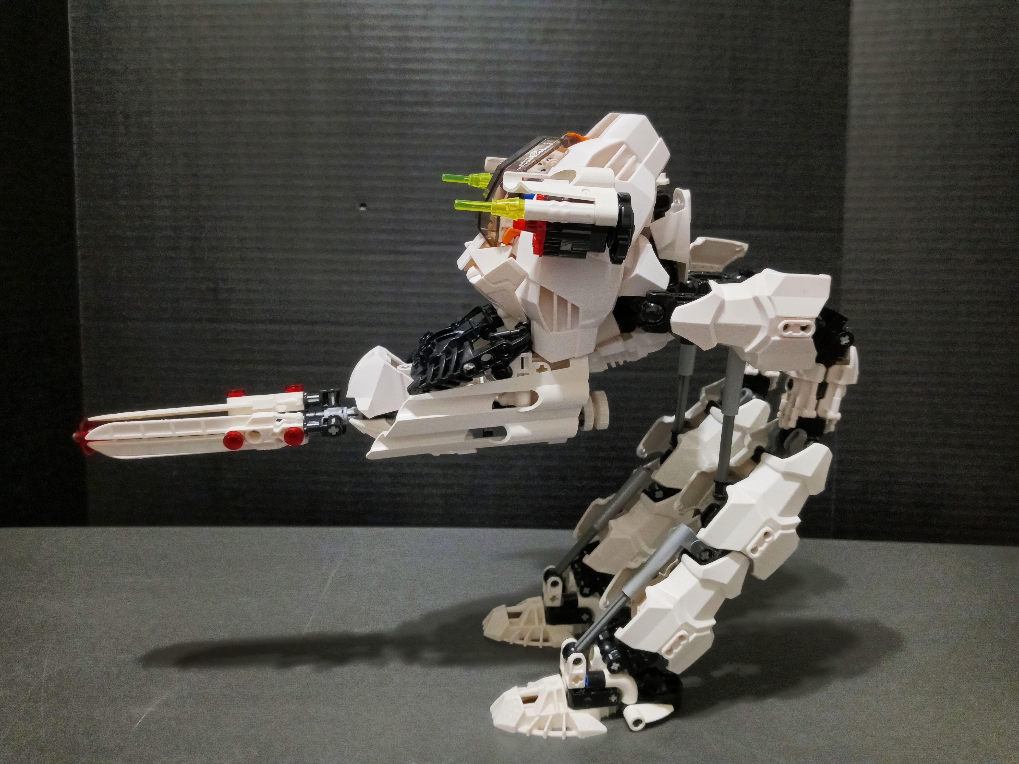 ak-paw-6.jpg