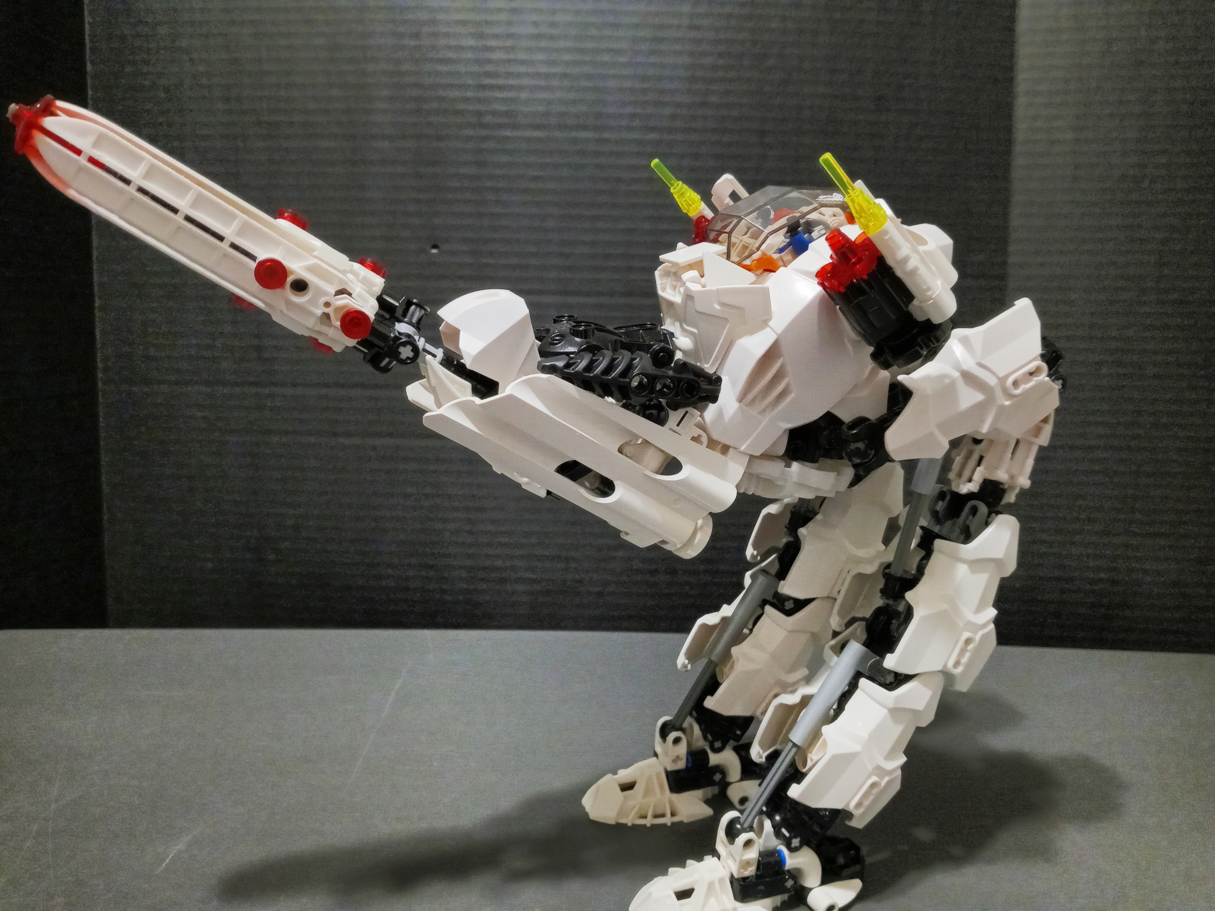 ak-paw-7.jpg