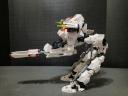 ak-paw-6.jpg