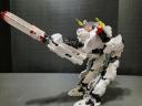 ak-paw-7.jpg
