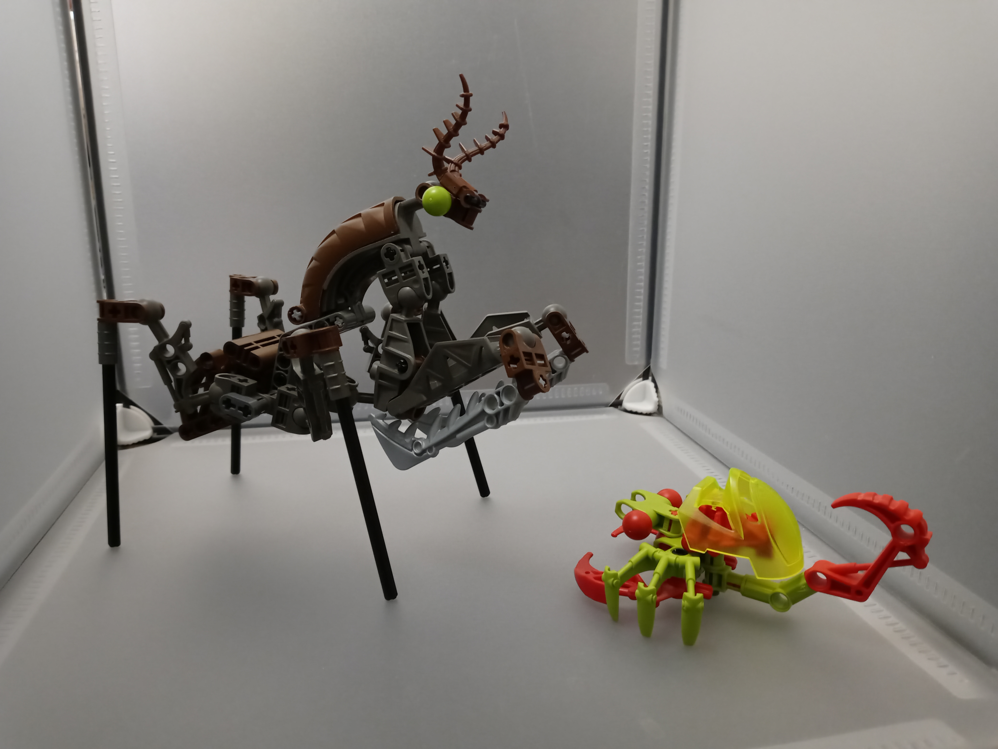 20210804_222915.jpg