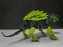 turtle_cat-2.jpg