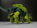 turtle_cat-4.jpg