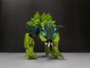 turtle_cat-5.jpg
