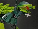 turtle_cat-6.jpg
