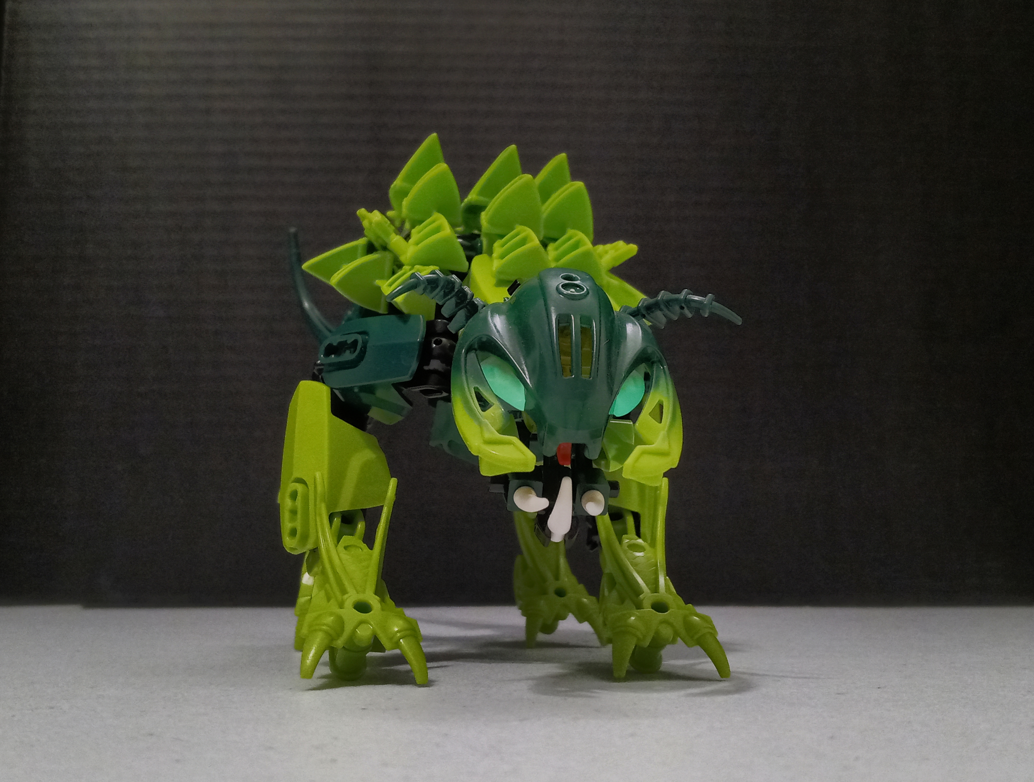 turtle_cat-5.jpg