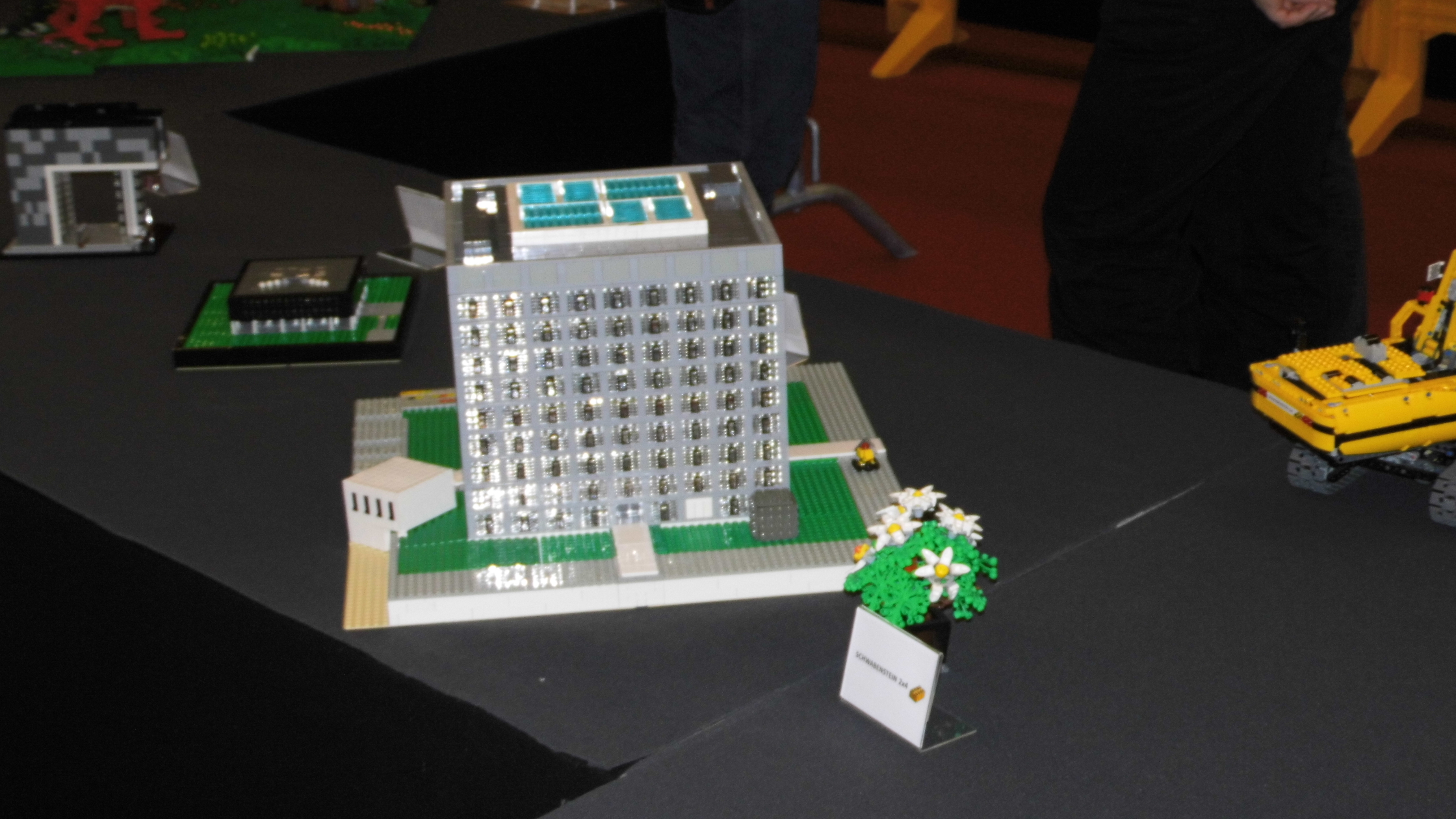 dsci0229.jpg