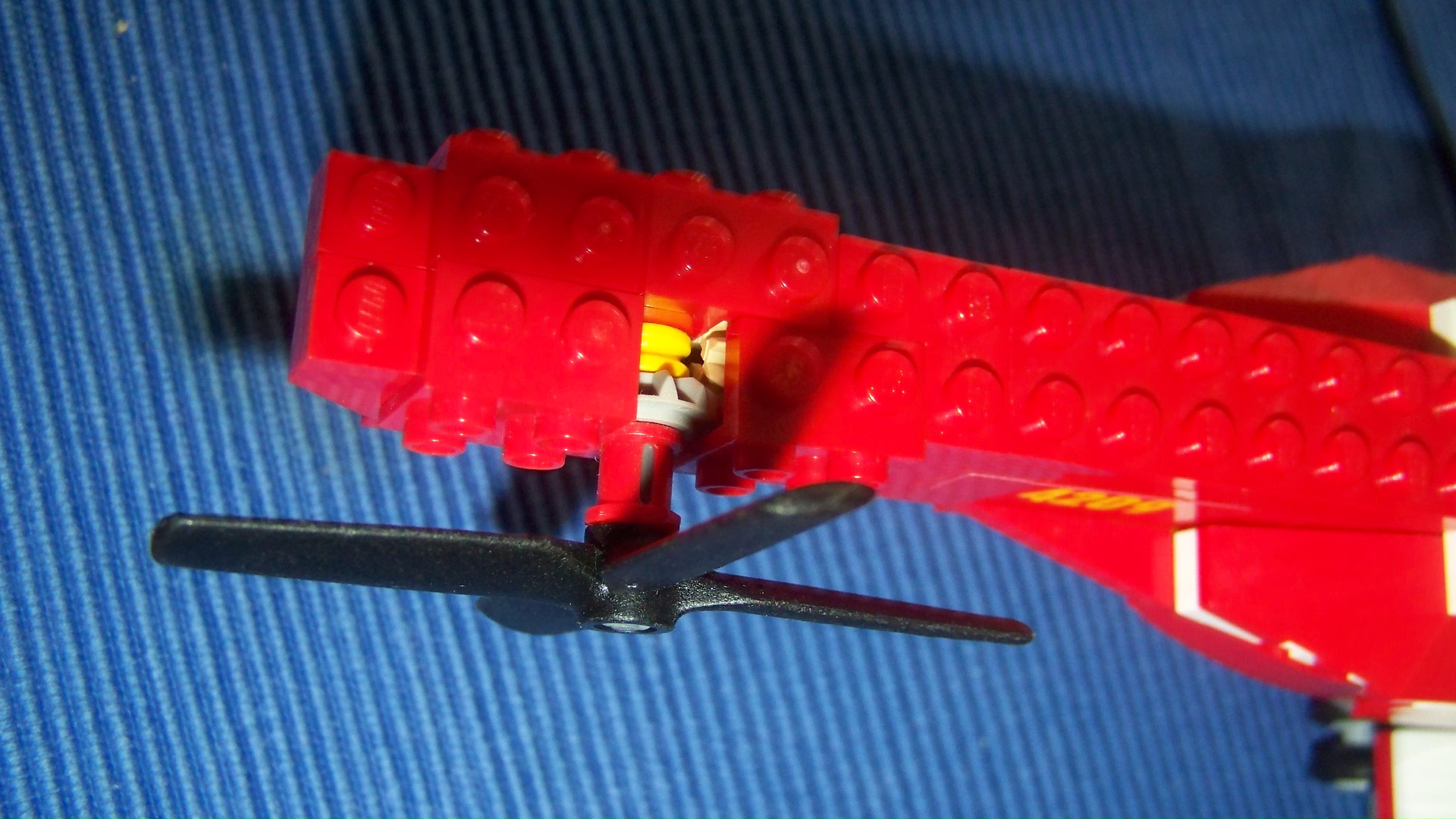 100_6878.jpg