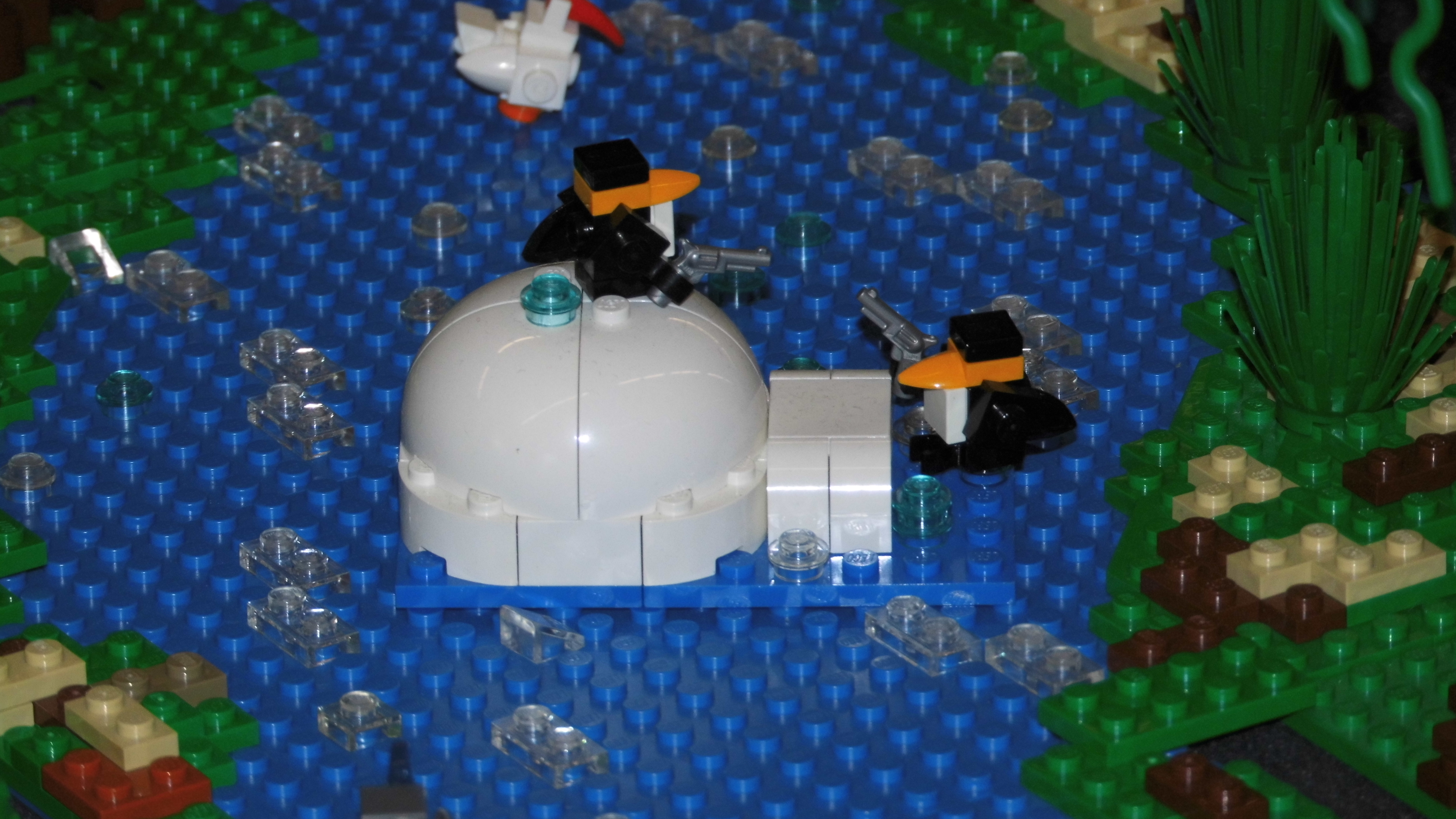 dsci0080.jpg