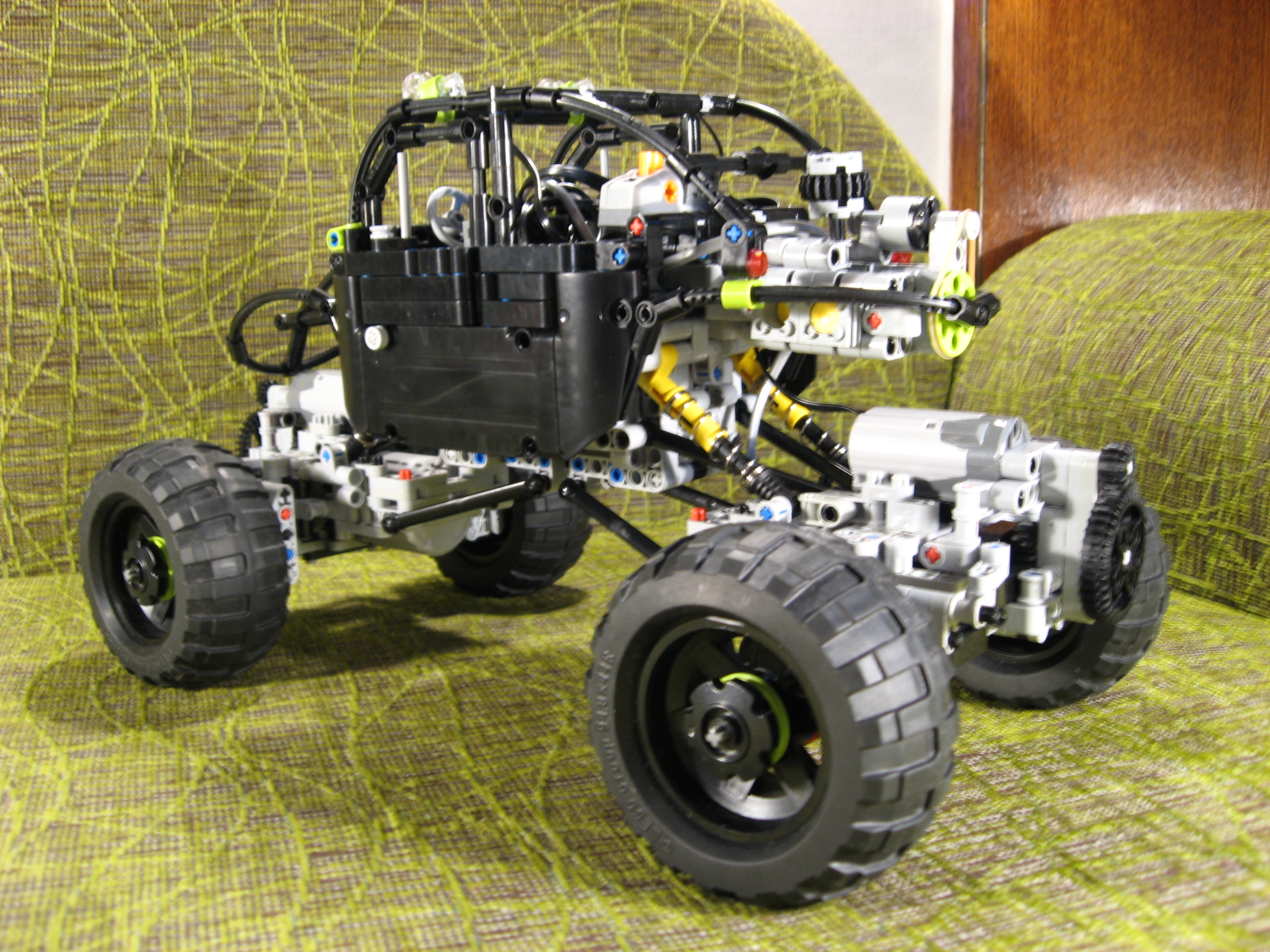 beetle_025.jpg