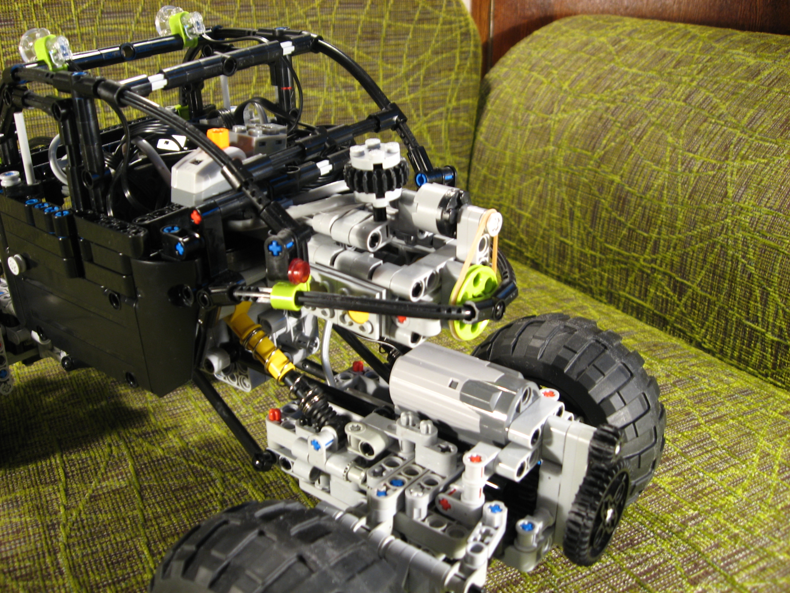 beetle_026.jpg