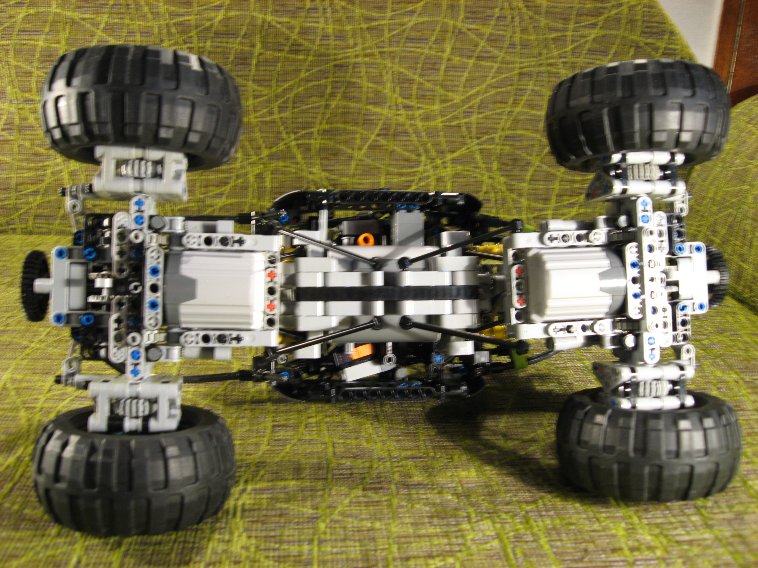 beetle_032.jpg