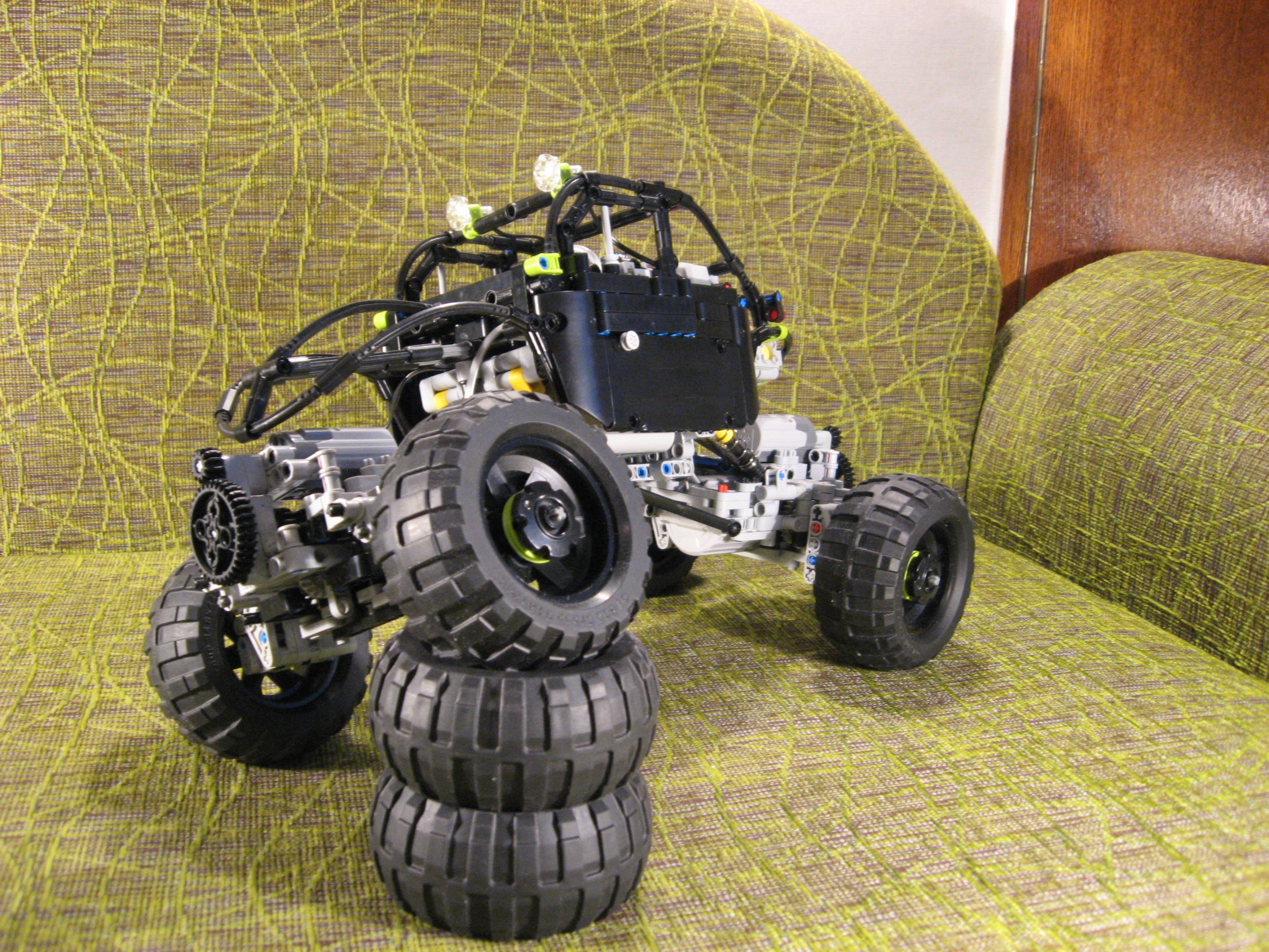 beetle_042.jpg