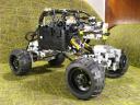 beetle_025.jpg