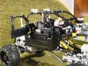 beetle_027.jpg