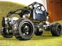 beetle_033.jpg