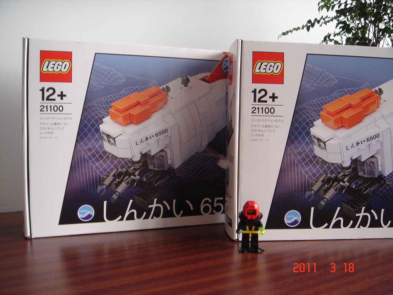 lego_21100-0318001.jpg
