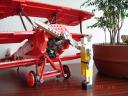 lego_10024-0310008.jpg