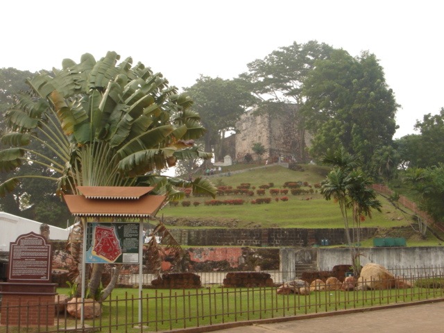 951022_380.jpg